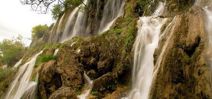 Erzincan Web Tasarım