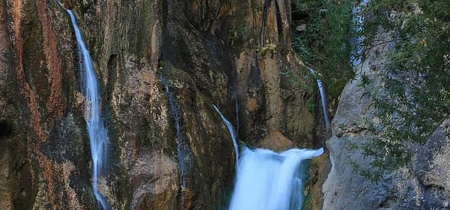Malatya Web Tasarım