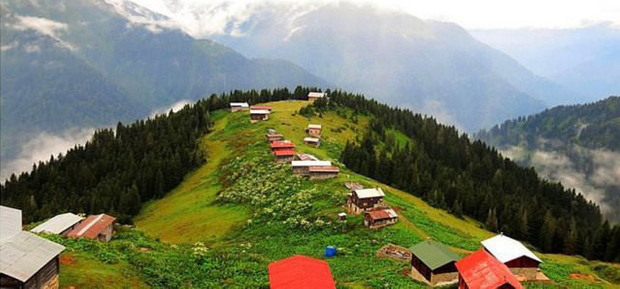 Rize Web Tasarım